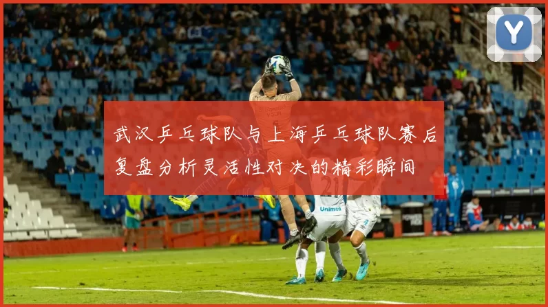 武汉乒乓球队与上海乒乓球队赛后复盘分析灵活性对决的精彩瞬间