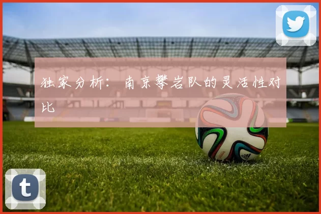 独家分析：南京攀岩队的灵活性对比