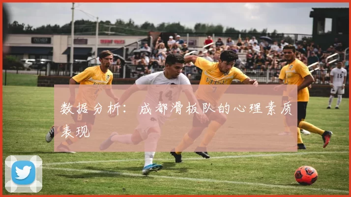 数据分析：成都滑板队的心理素质表现