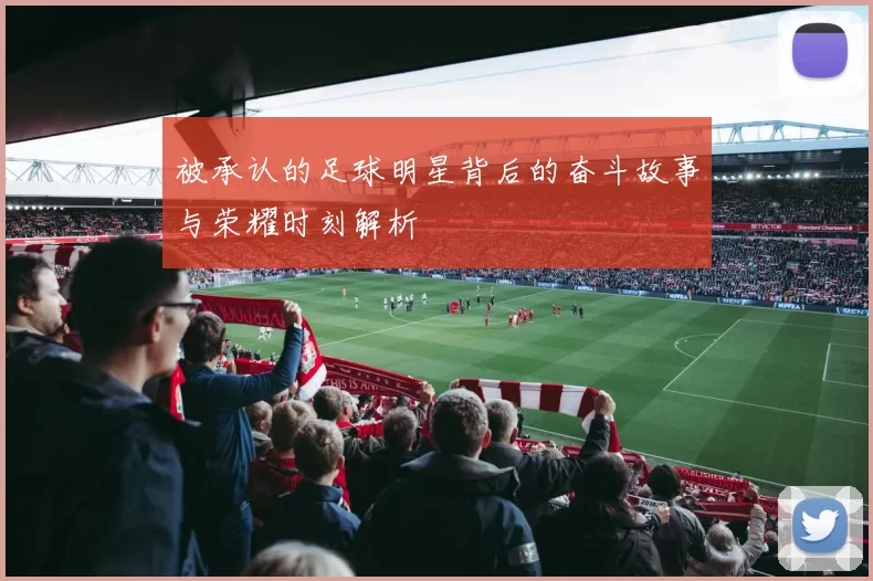 被承认的足球明星背后的奋斗故事与荣耀时刻解析