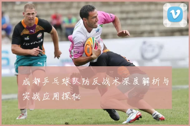 成都乒乓球队防反战术深度解析与实战应用探秘